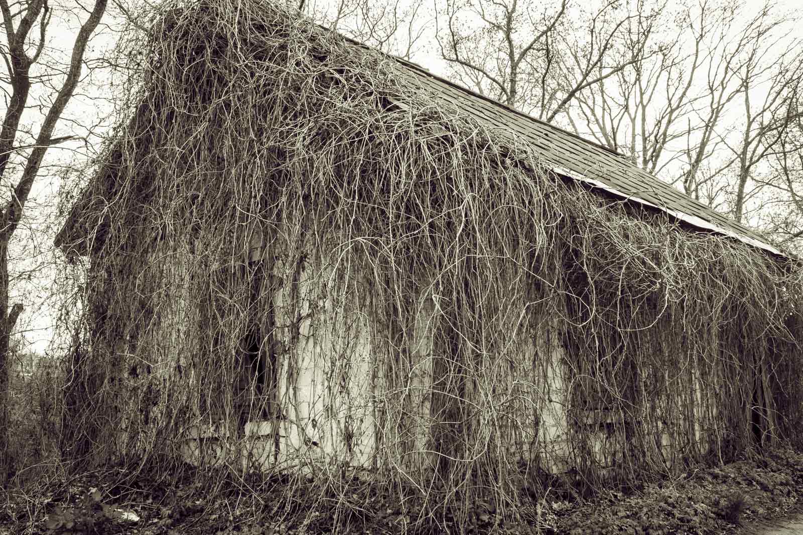 Alte Scheune